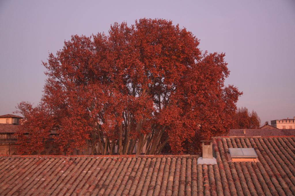 A La Terrasse D'Avignon Apartment Екстериор снимка